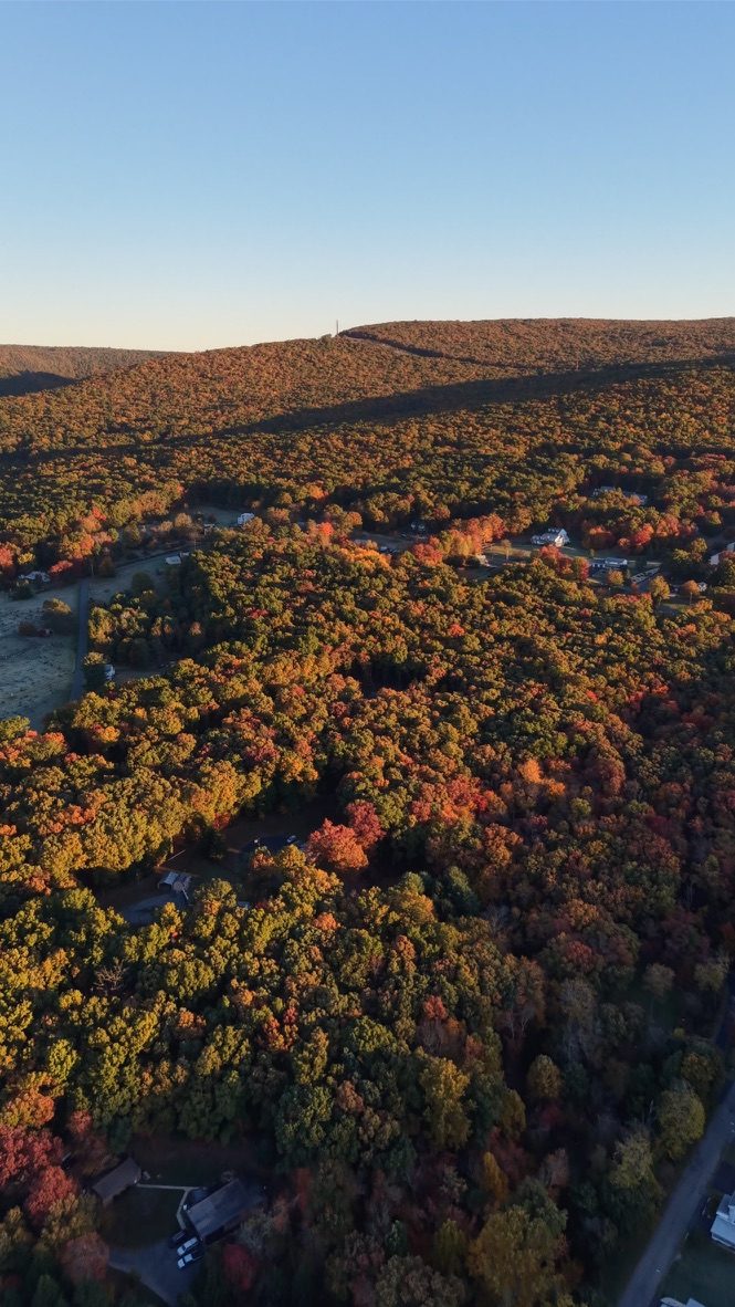 Aerial view of a Pocono forest in fall color